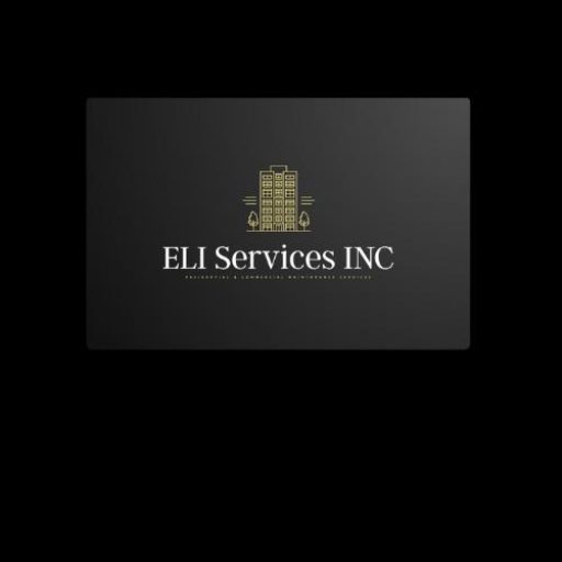 ELI SERVICES INC